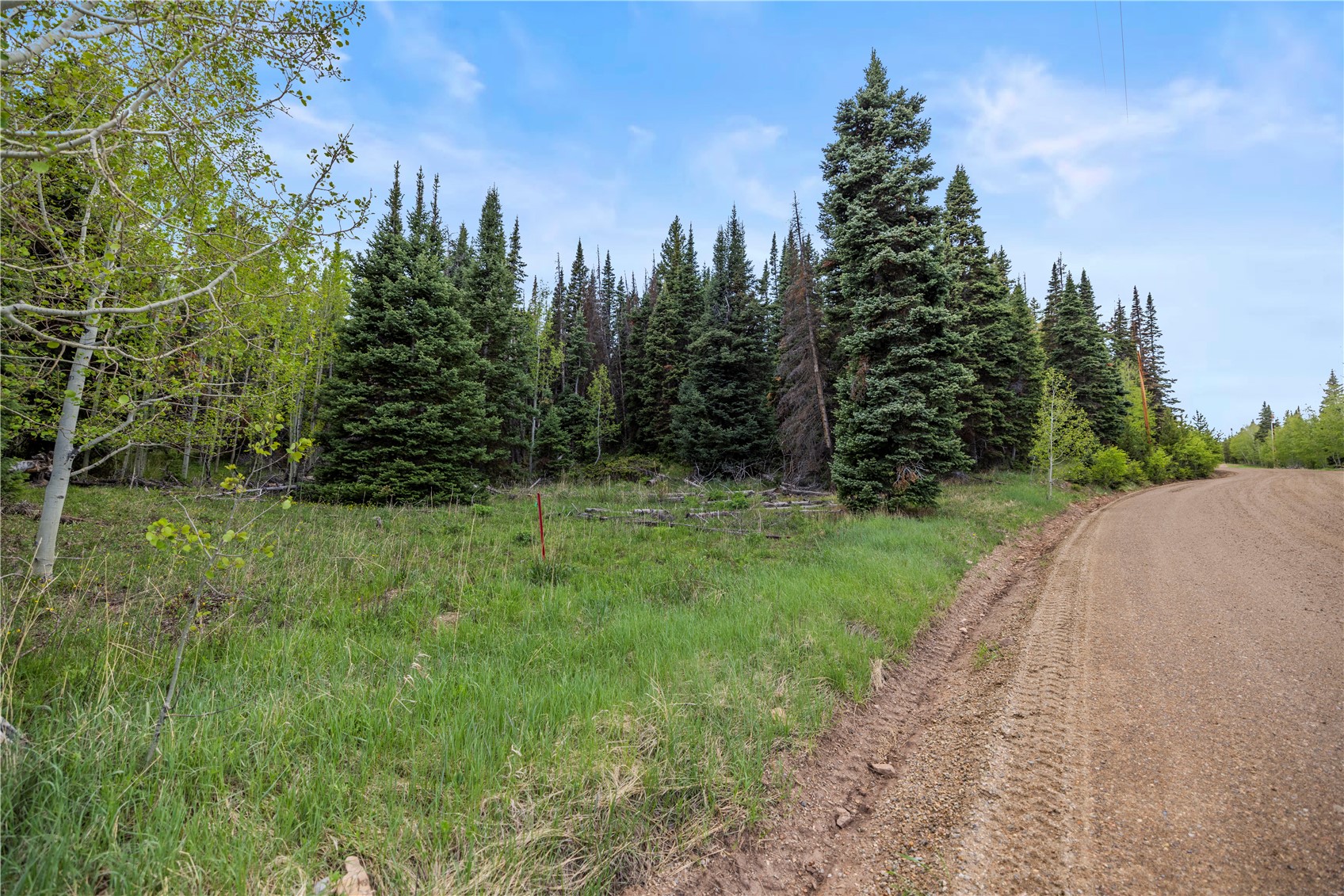 336 Blue Spruce Road Heeney CO 80498