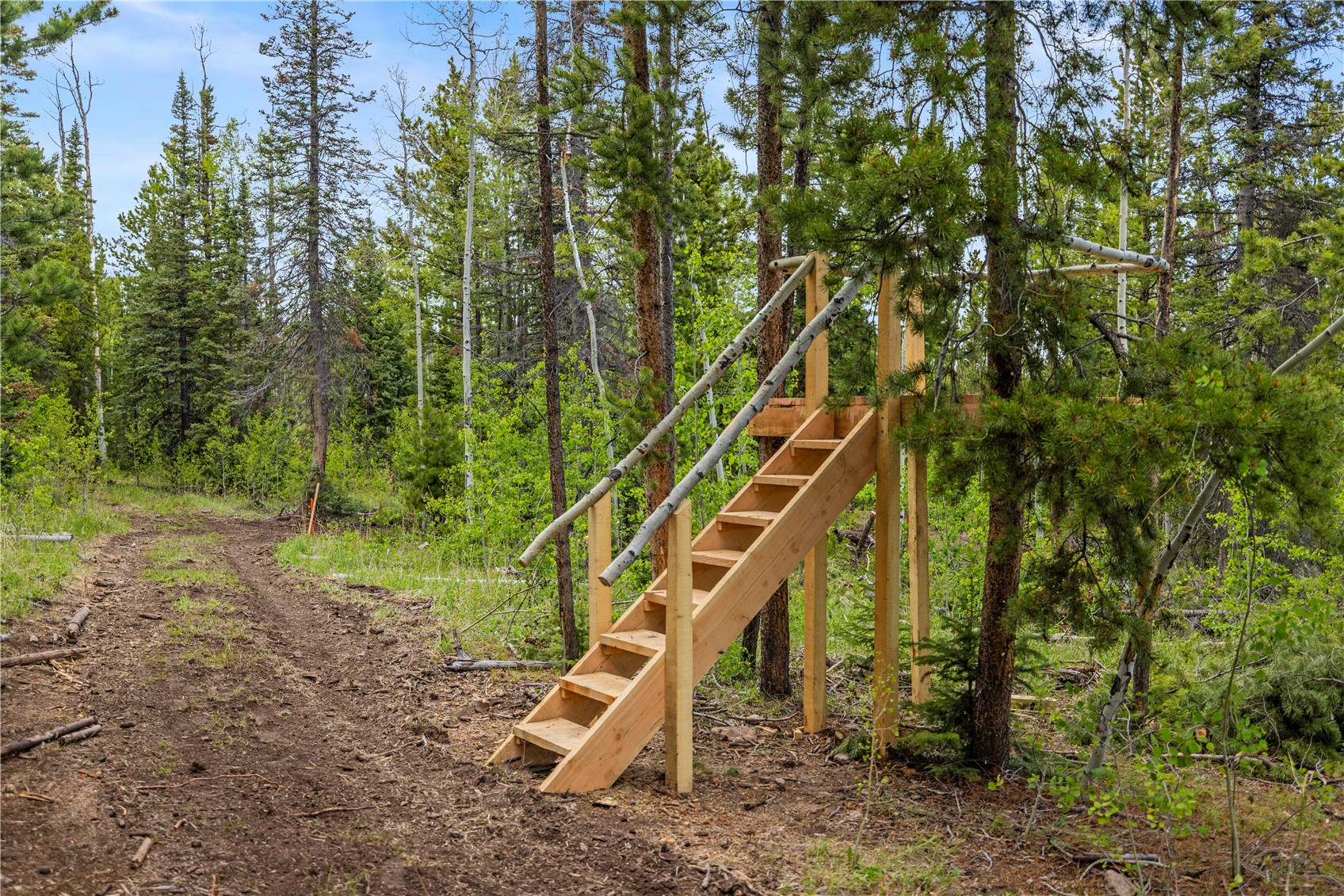 336 Blue Spruce Road Heeney CO 80498