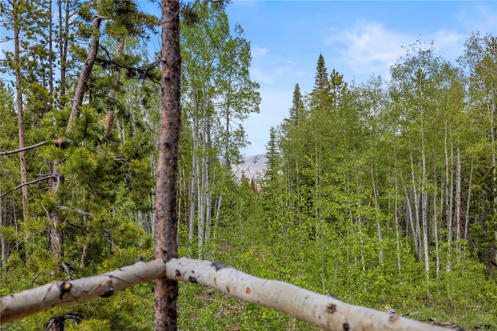 336 Blue Spruce Road Heeney CO 80498