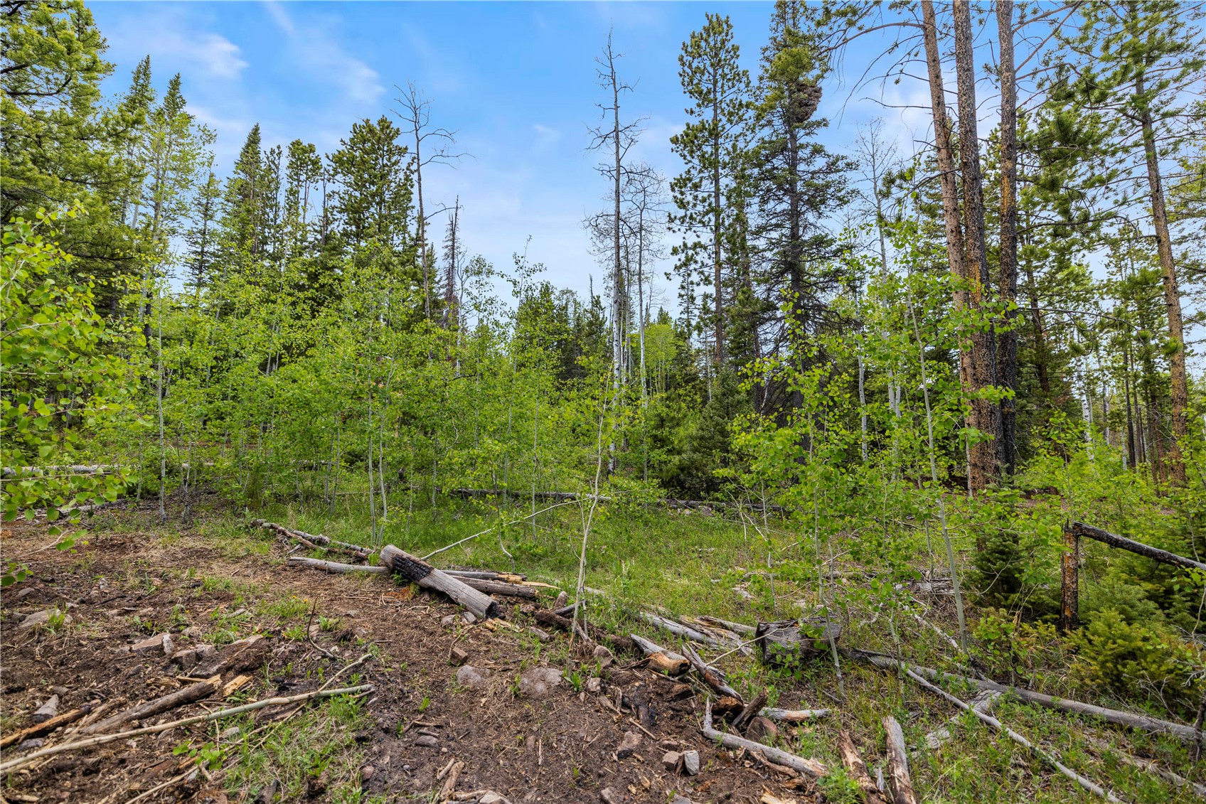 336 Blue Spruce Road Heeney CO 80498