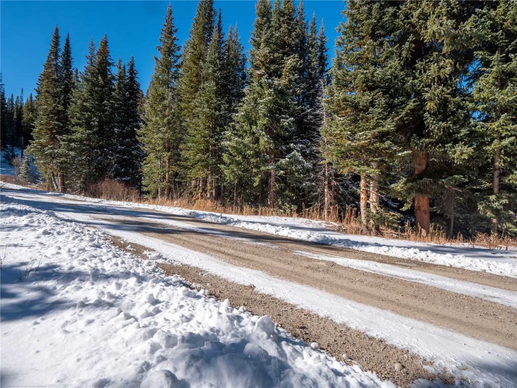 387 County Road 674 Breckenridge CO 80424