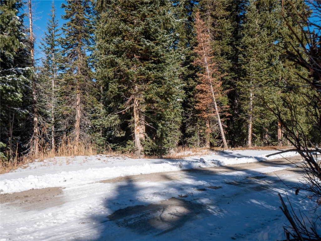 387 County Road 674 Breckenridge CO 80424