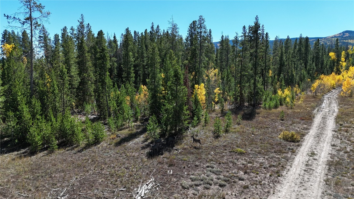 Tbd Appaloosa Way Oak Creek CO 80467