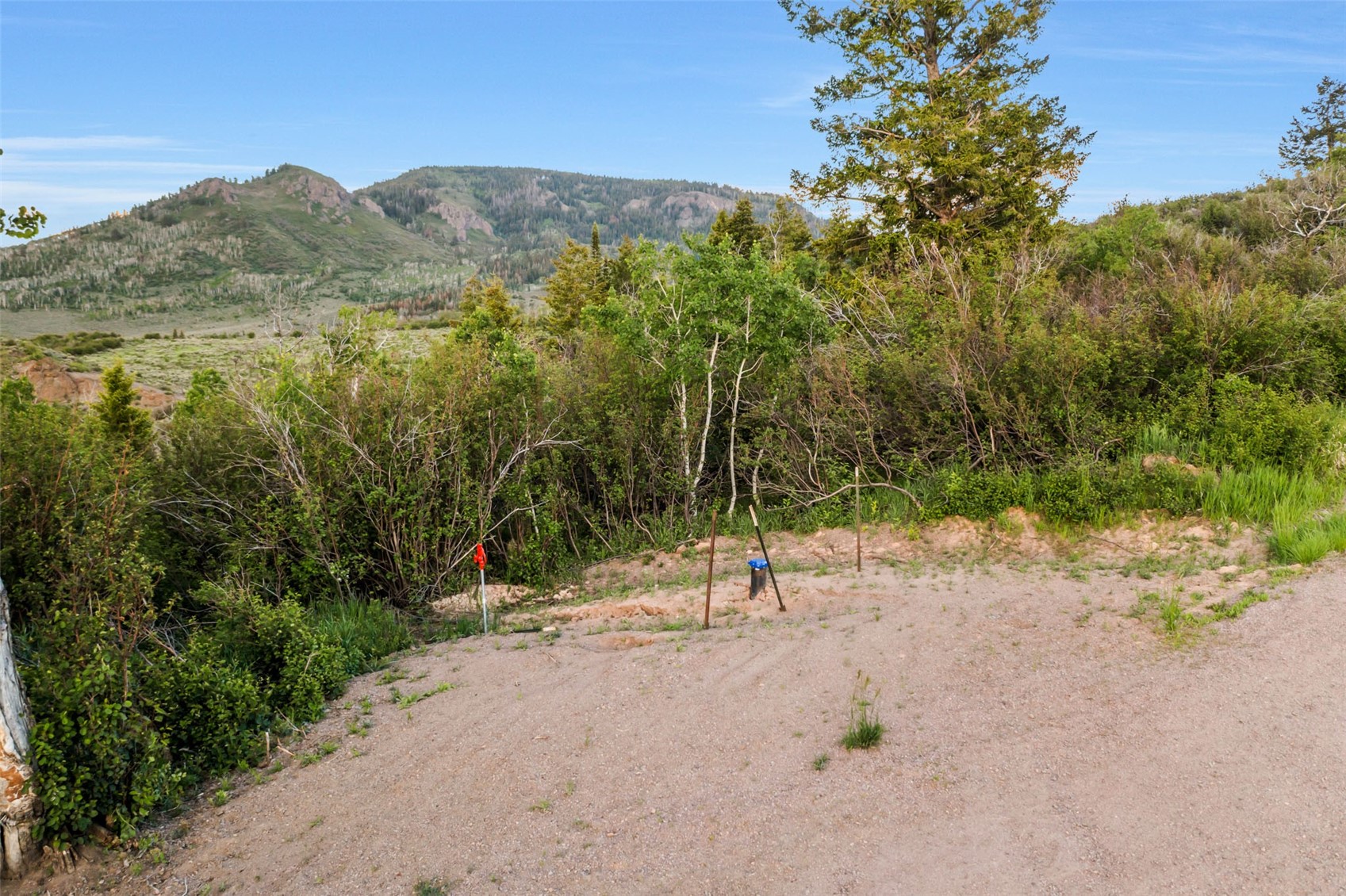 TBD04 Young's Creek Way Oak Creek CO 80467