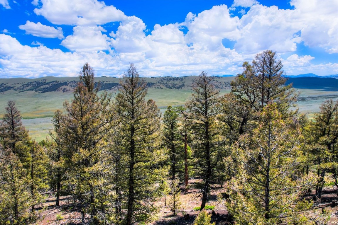 Lot 262 Middle Fork Vista Fairplay CO 80440