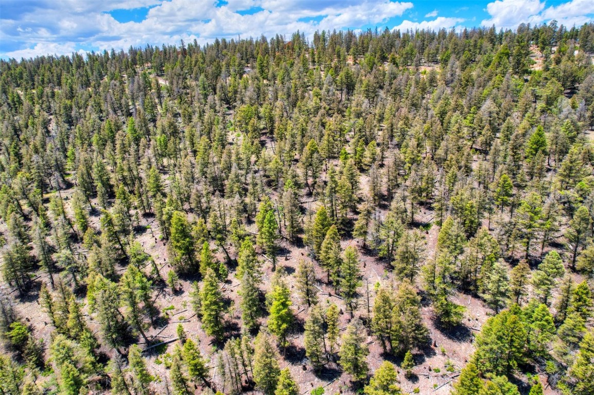 Lot 262 Middle Fork Vista Fairplay CO 80440