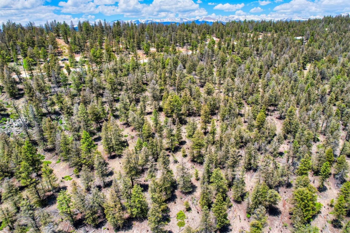 Lot 262 Middle Fork Vista Fairplay CO 80440
