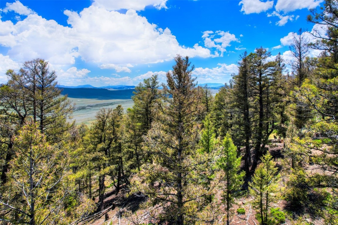 Lot 262 Middle Fork Vista Fairplay CO 80440