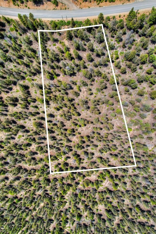 Lot 262 Middle Fork Vista Fairplay CO 80440