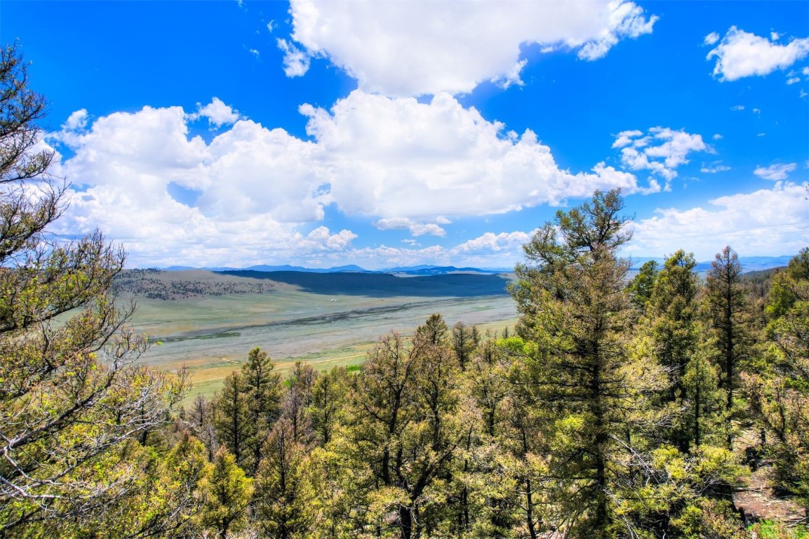 Lot 262 Middle Fork Vista Fairplay CO 80440