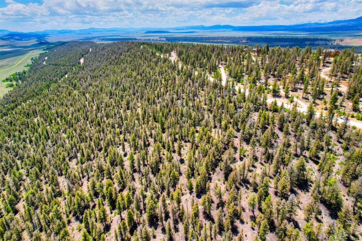 Lot 262 Middle Fork Vista Fairplay CO 80440
