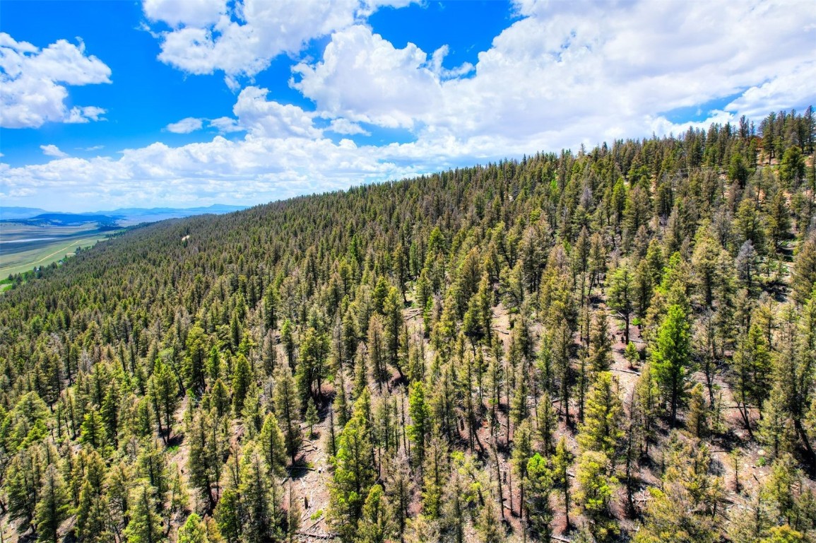 Lot 262 Middle Fork Vista Fairplay CO 80440