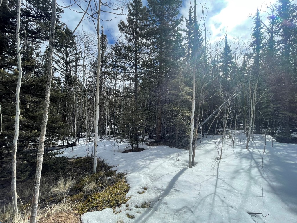 80 Haida Way Como CO 80456
