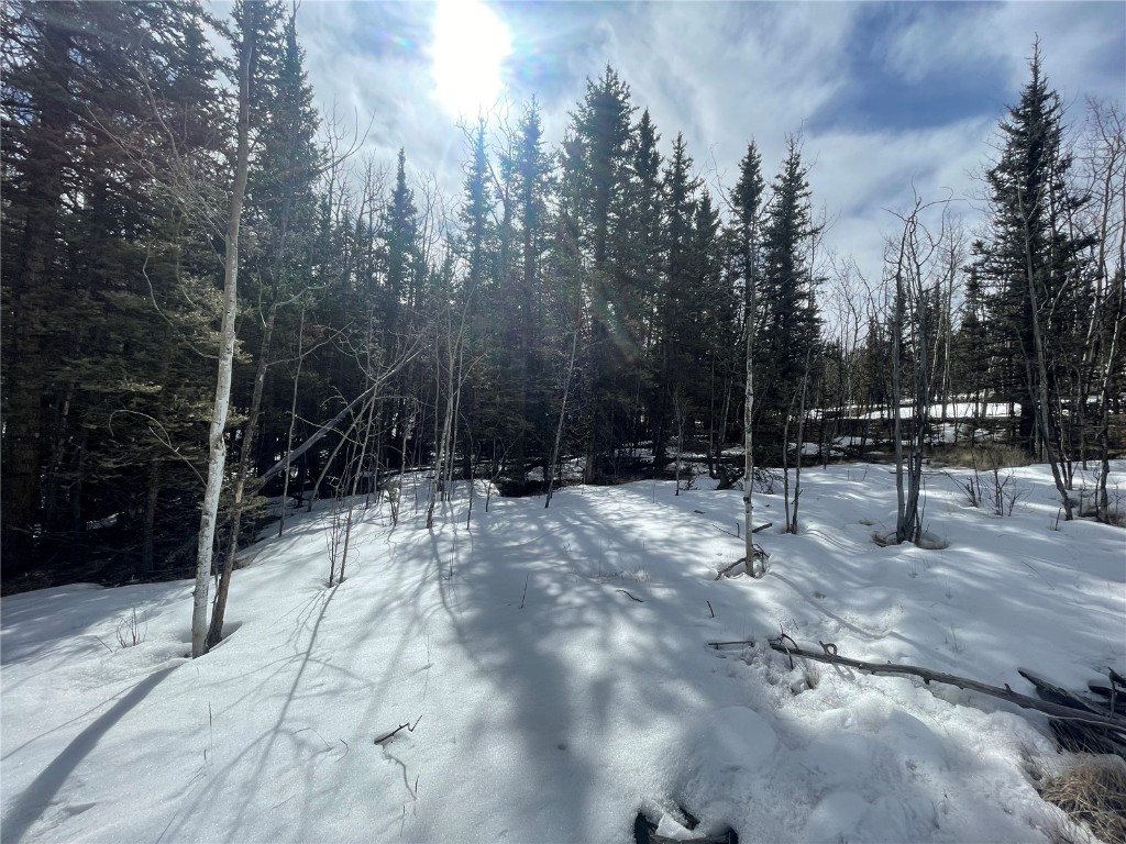 80 Haida Way Como CO 80456