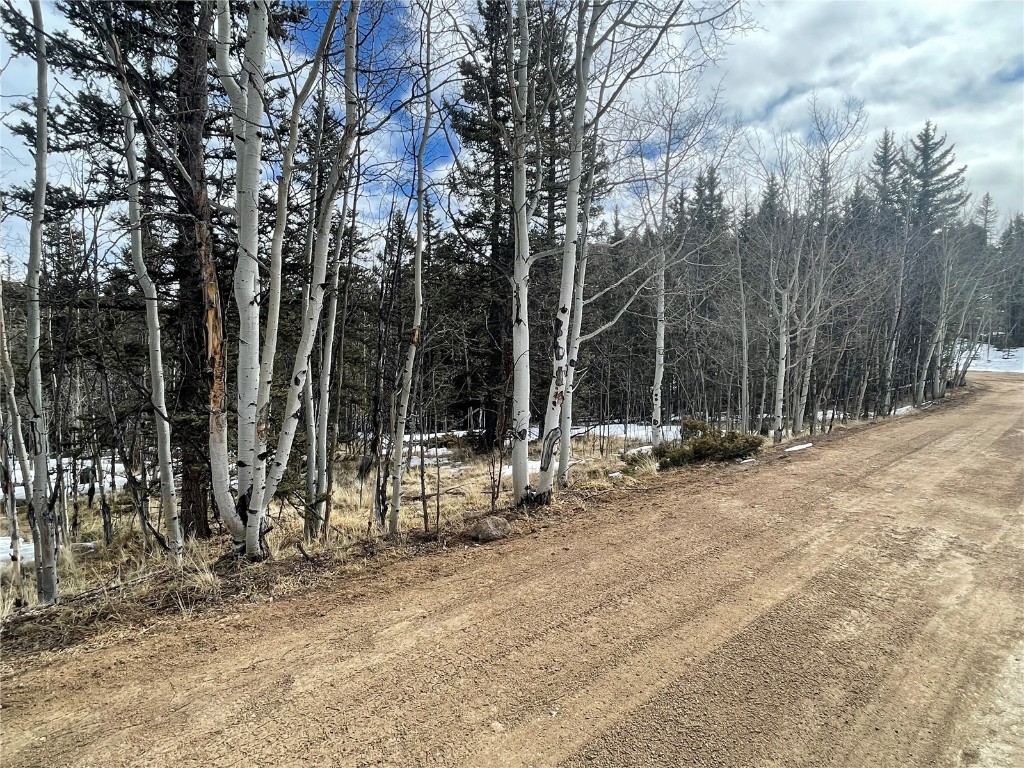 80 Haida Way Como CO 80456