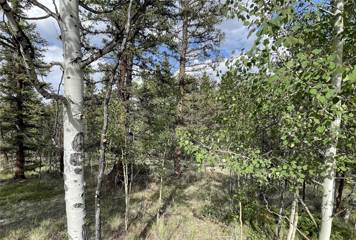 80 Haida Way Como CO 80456
