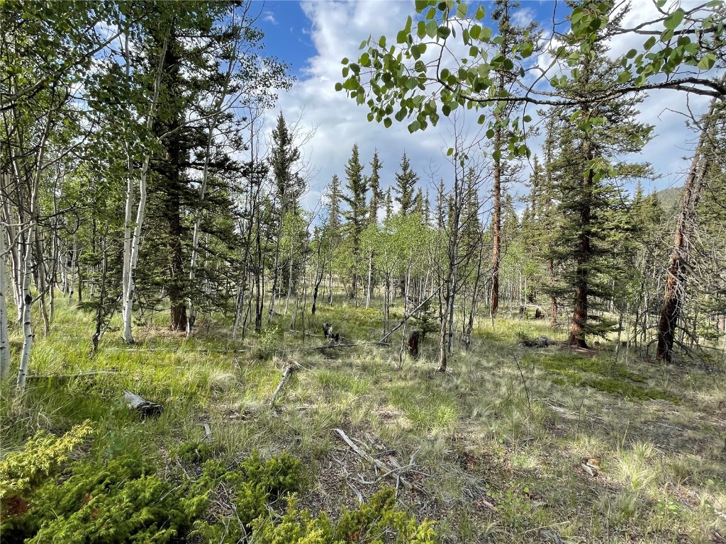 80 Haida Way Como CO 80456