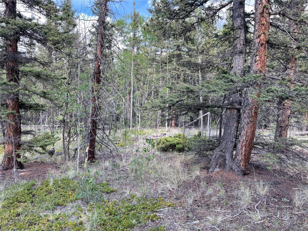 80 Haida Way Como CO 80456