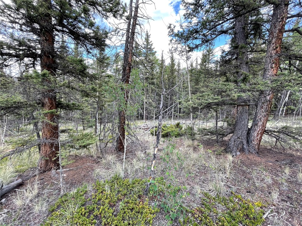 80 Haida Way Como CO 80456