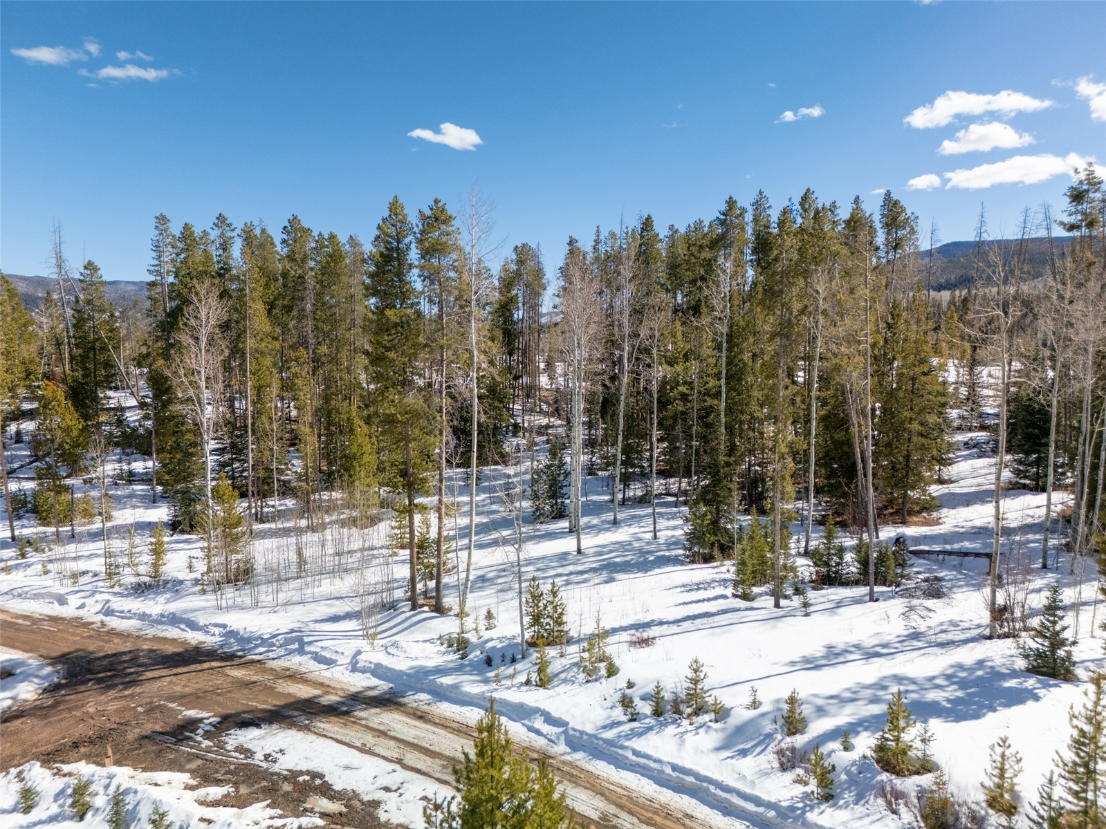 20905 Clydesdale Way Oak Creek CO 80467