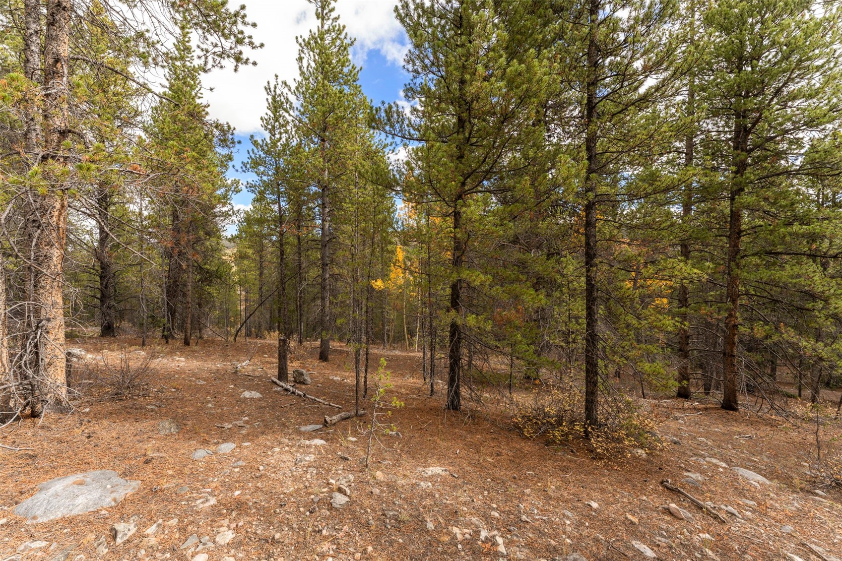 Tbd 10th Alma CO 80420