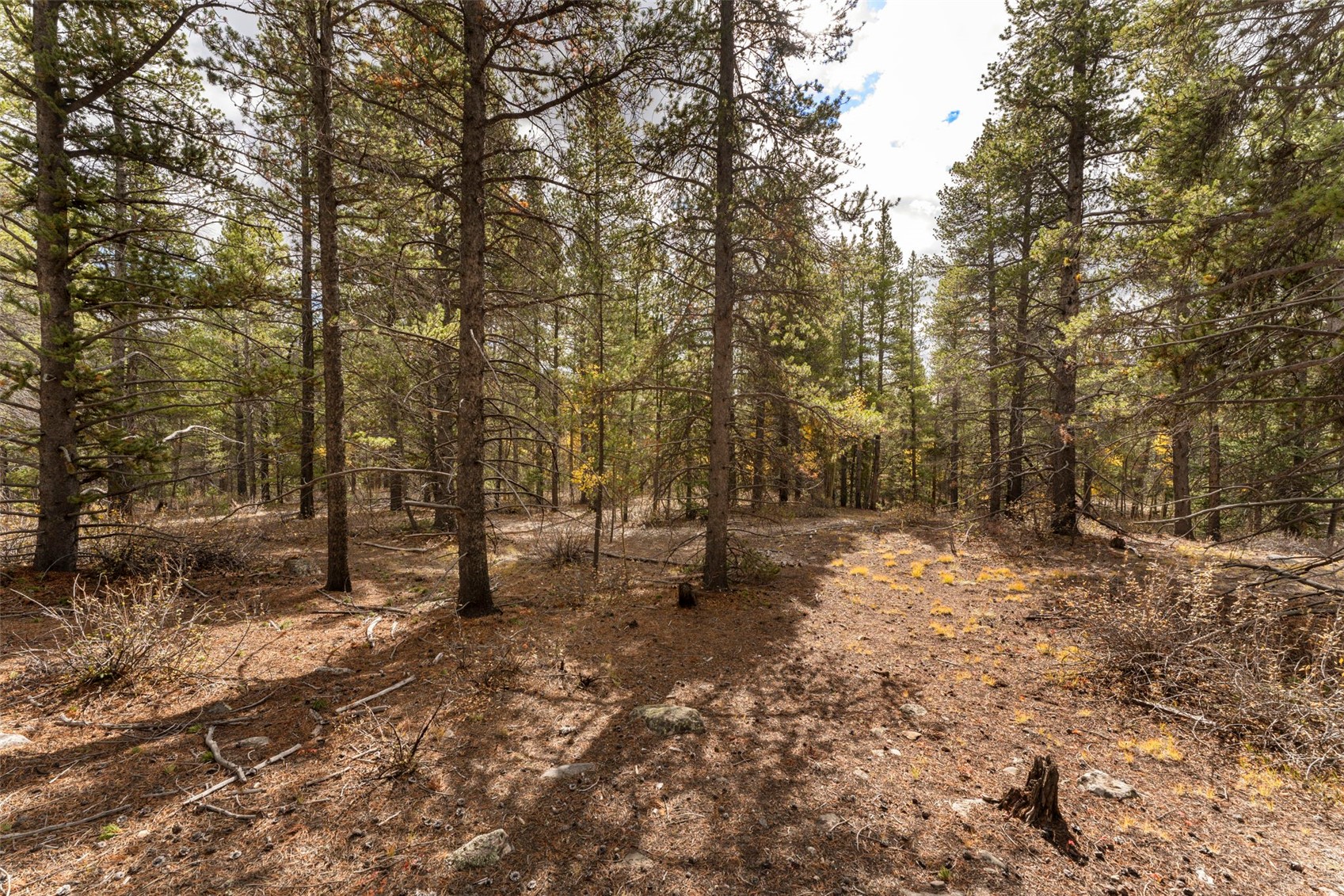Tbd 10th Alma CO 80420