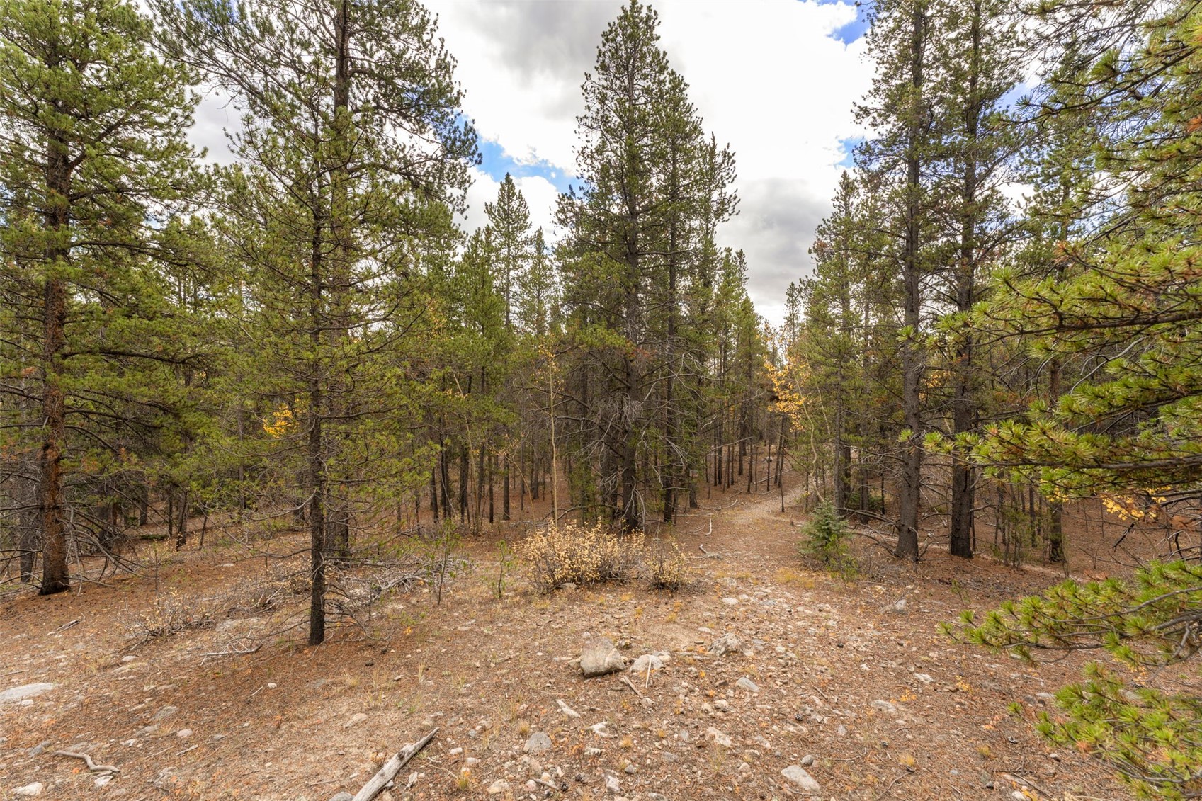 Tbd 10th Alma CO 80420