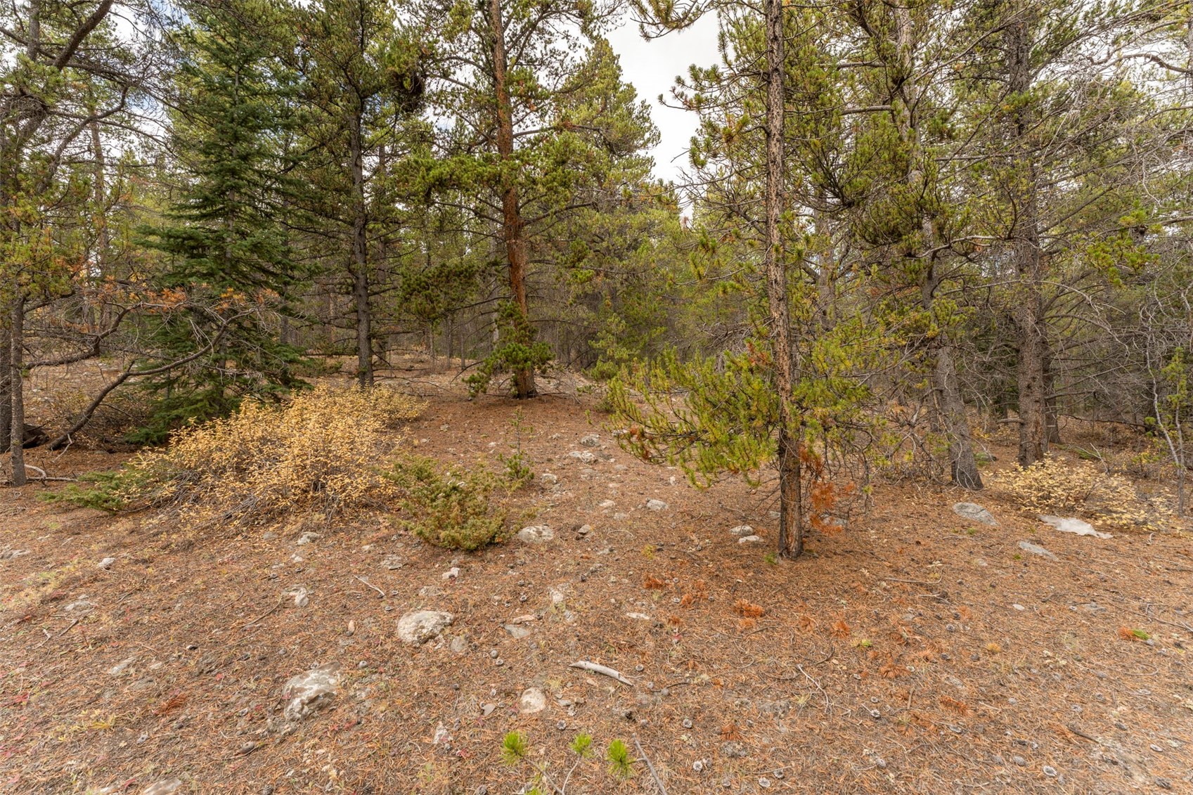 Tbd 10th Alma CO 80420