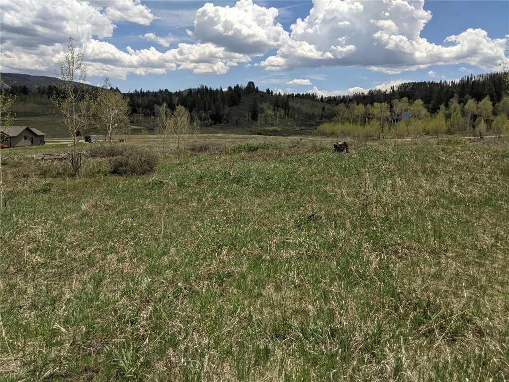 32423 Ute Trail Oak Creek CO 80467