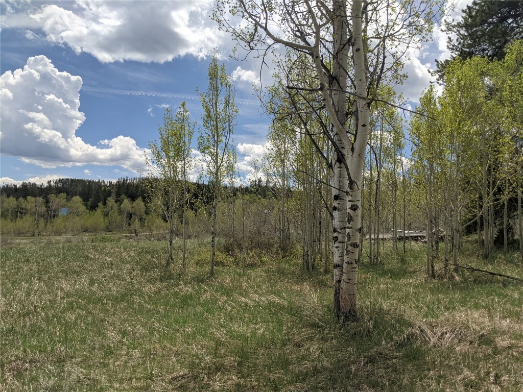 32423 Ute Trail Oak Creek CO 80467