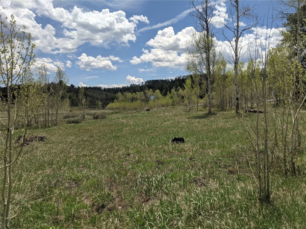 32423 Ute Trail Oak Creek CO 80467