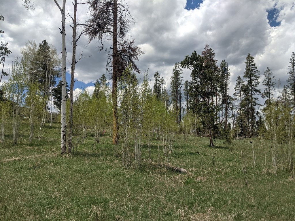 32423 Ute Trail Oak Creek CO 80467