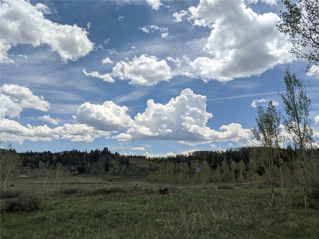 32423 Ute Trail Oak Creek CO 80467
