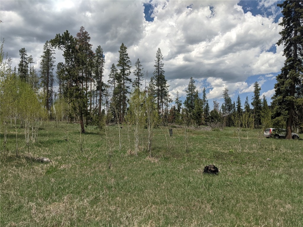 32423 Ute Trail Oak Creek CO 80467