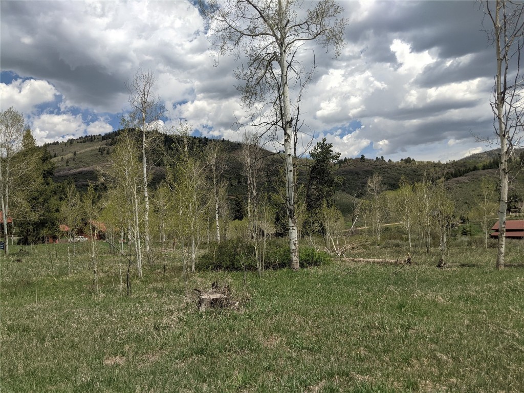 32423 Ute Trail Oak Creek CO 80467