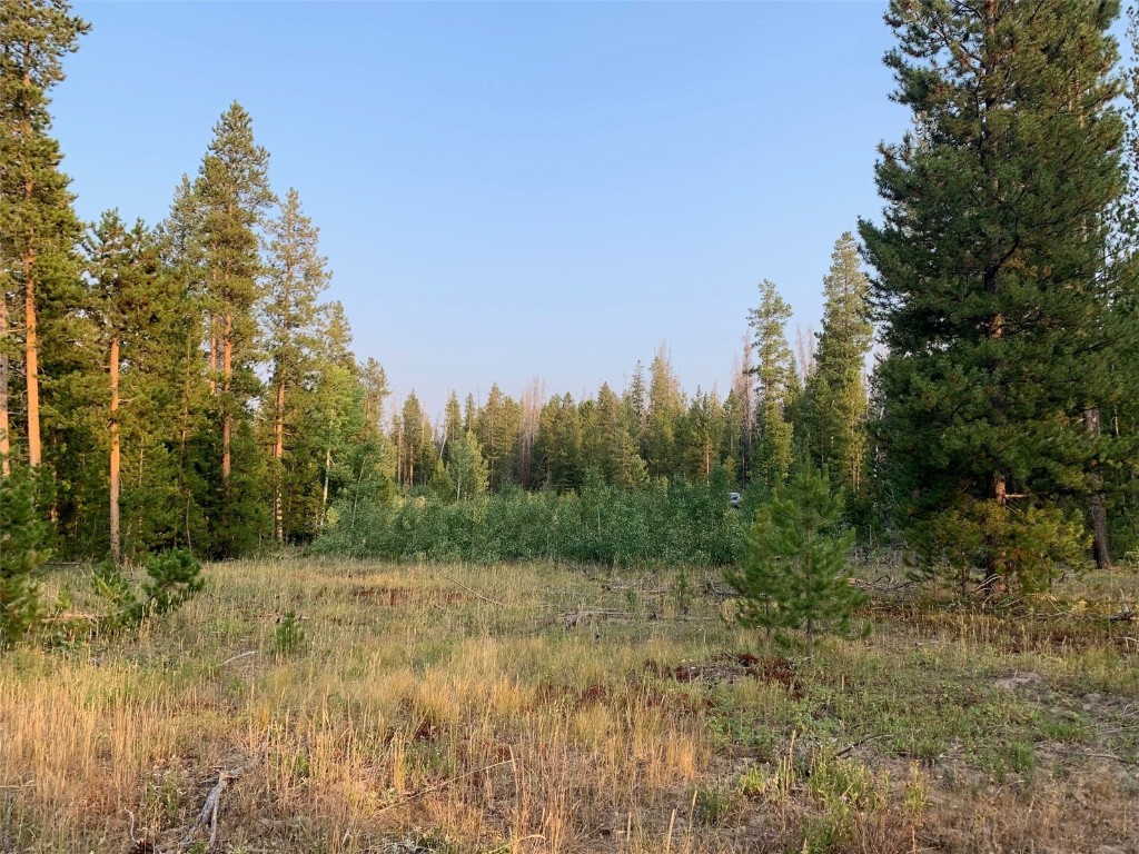20935 Cayuse Way Oak Creek CO 80467