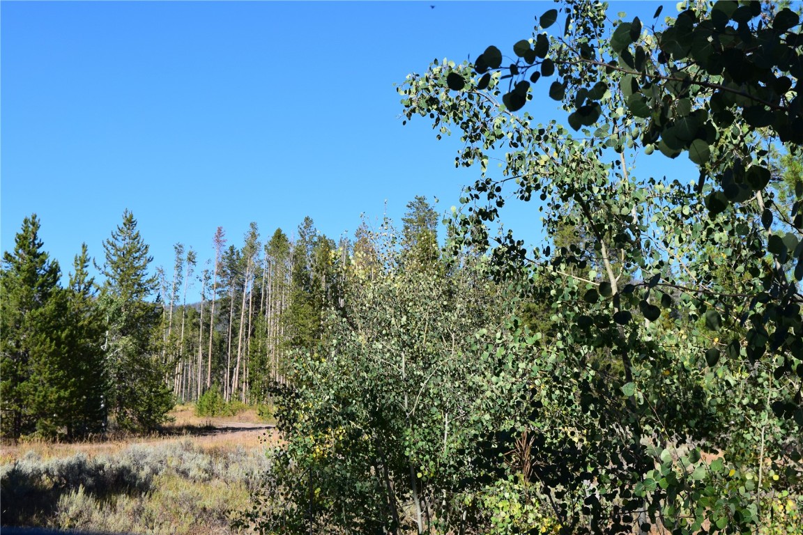 20935 Cayuse Way Oak Creek CO 80467