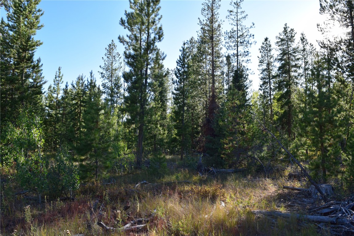 20935 Cayuse Way Oak Creek CO 80467