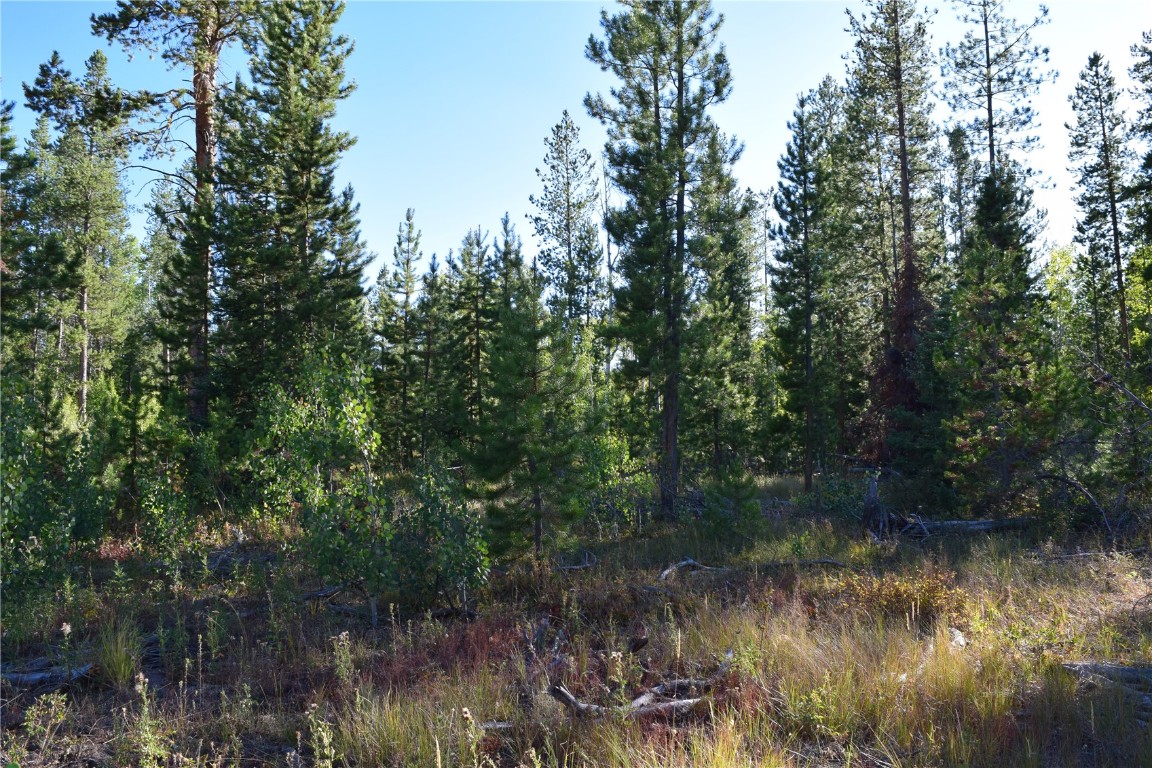 20935 Cayuse Way Oak Creek CO 80467