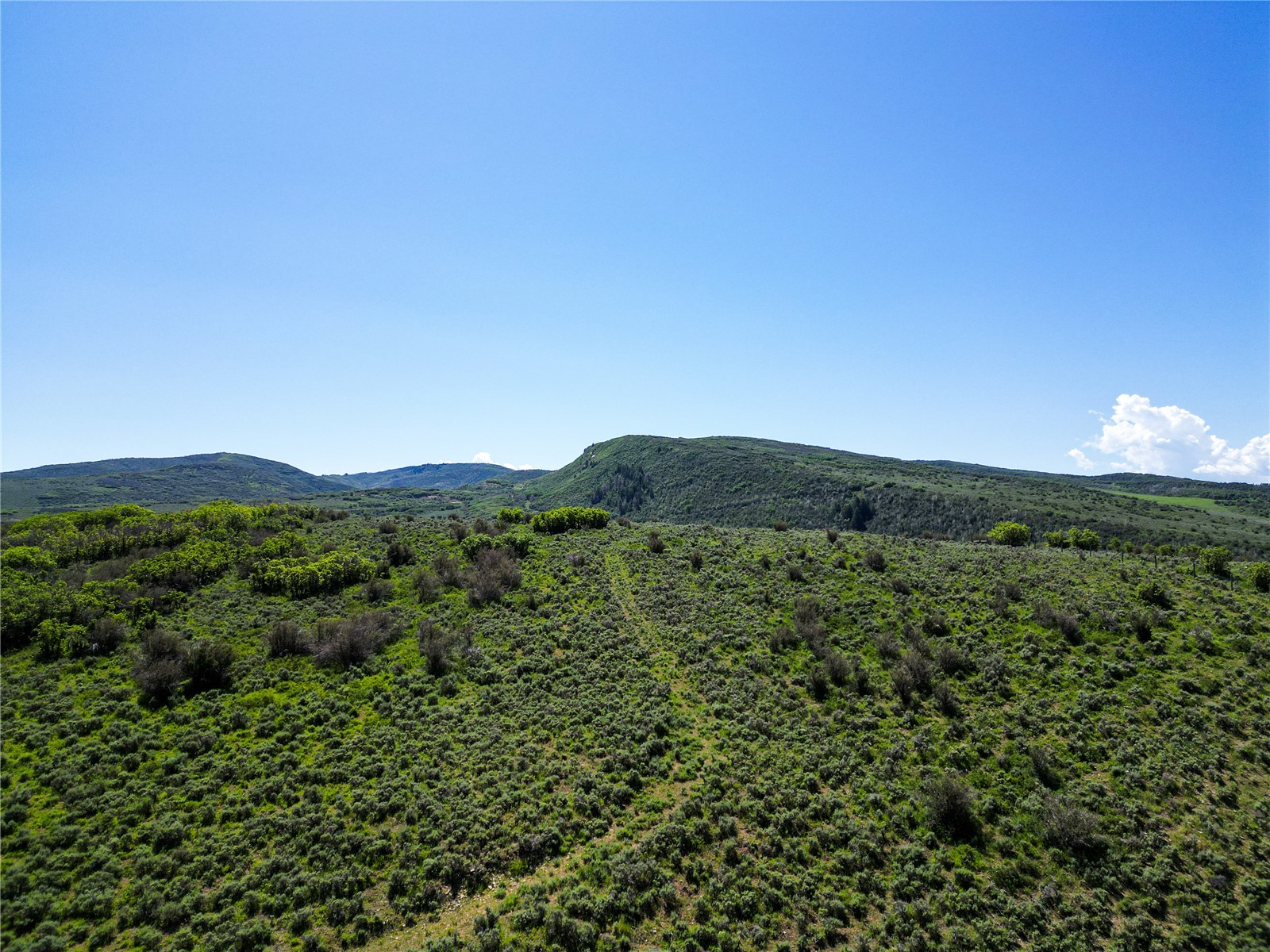 38500 Lobo Court Steamboat Springs CO 80487