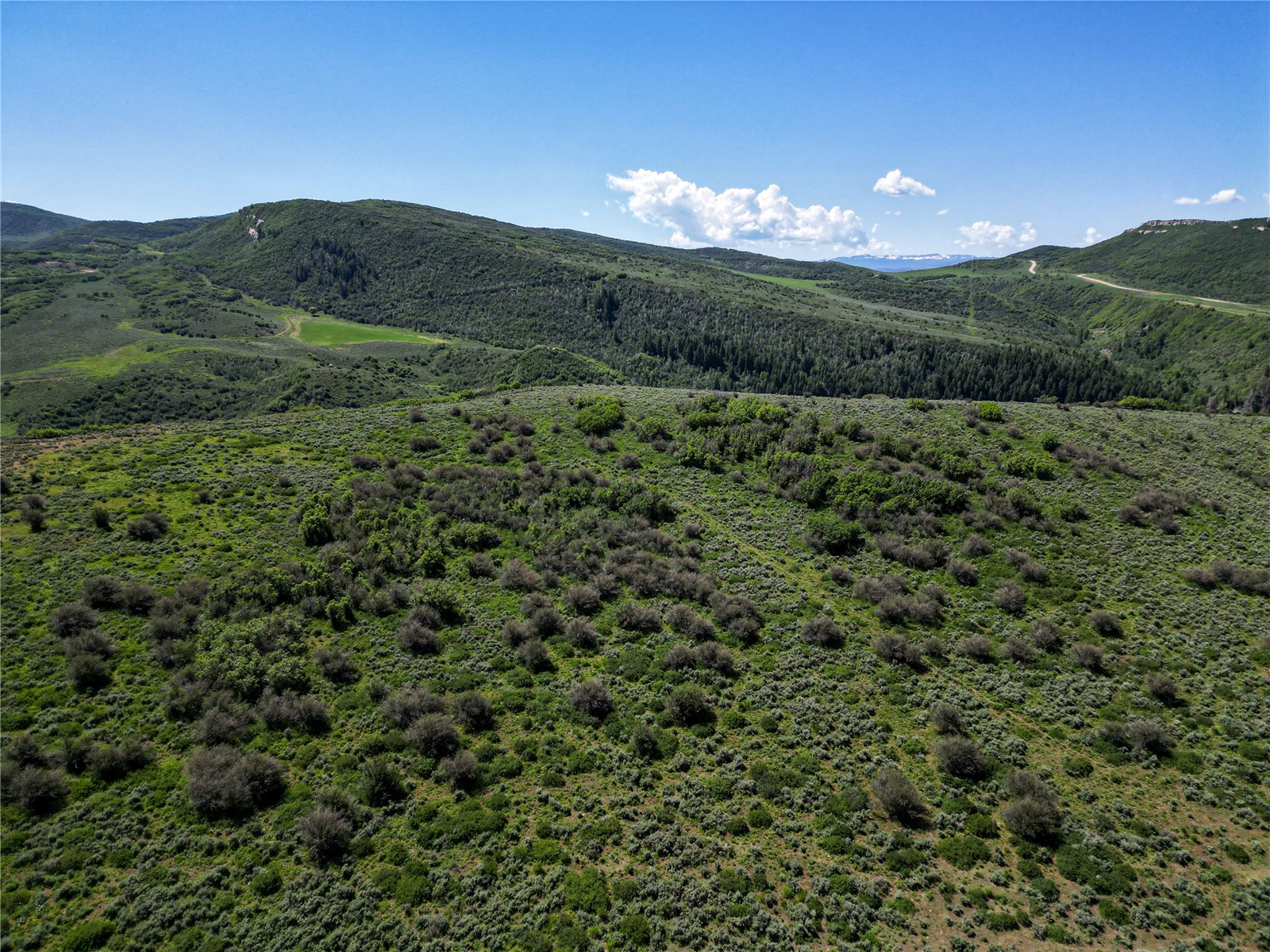 38500 Lobo Court Steamboat Springs CO 80487