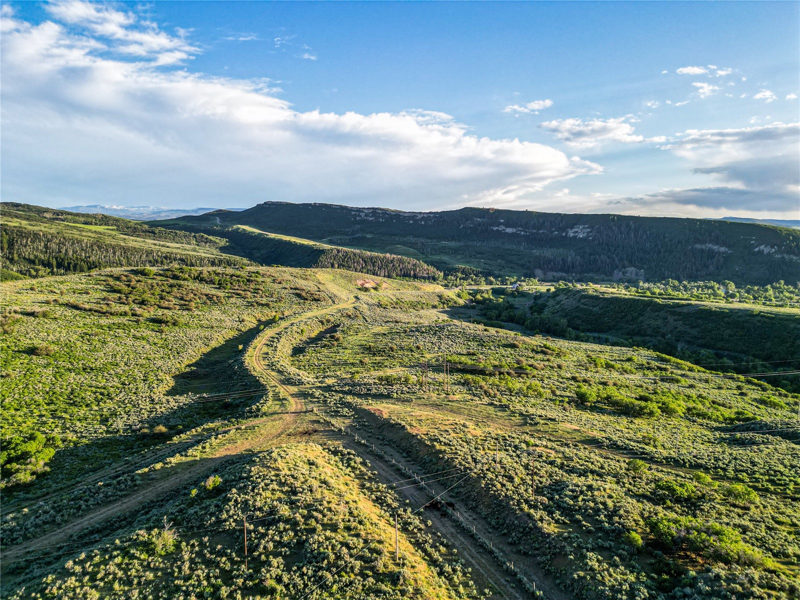 38500 Lobo Court Steamboat Springs CO 80487