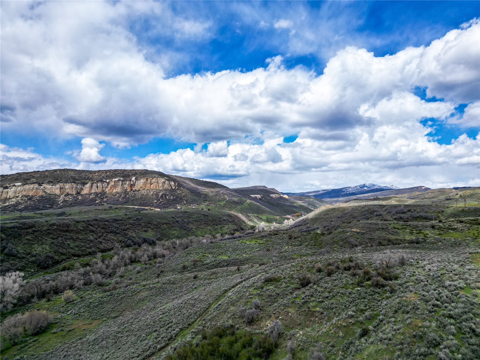 38500 Lobo Court Steamboat Springs CO 80487