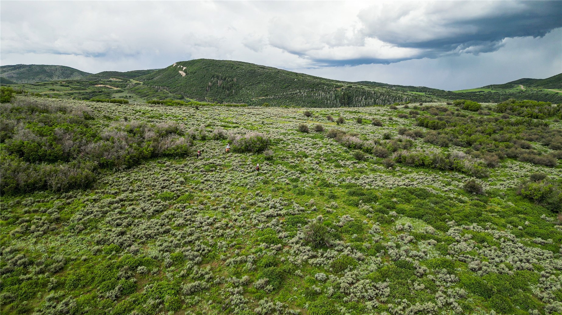 38500 Lobo Court Steamboat Springs CO 80487