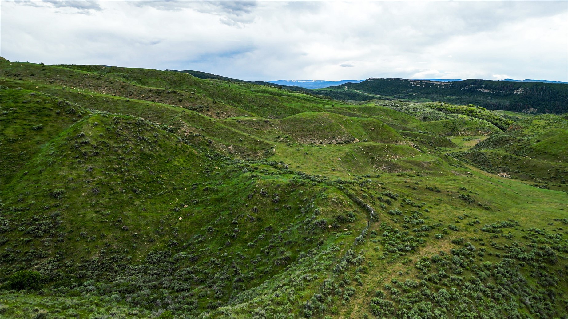 38500 Lobo Court Steamboat Springs CO 80487