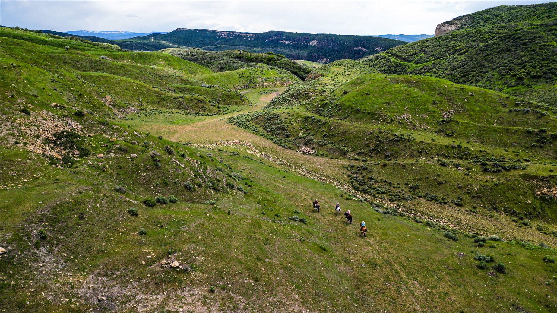 38500 Lobo Court Steamboat Springs CO 80487