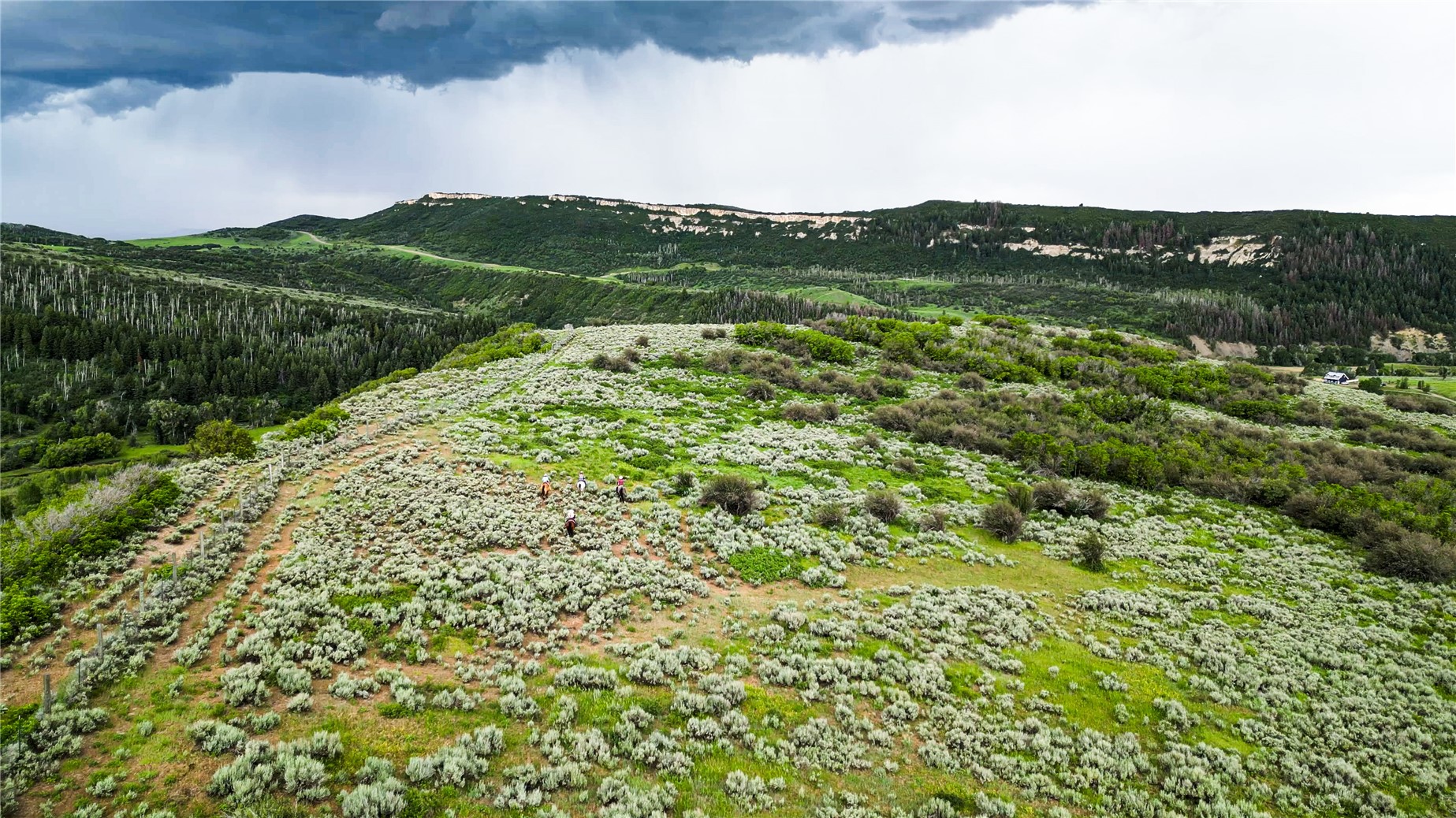 38500 Lobo Court Steamboat Springs CO 80487