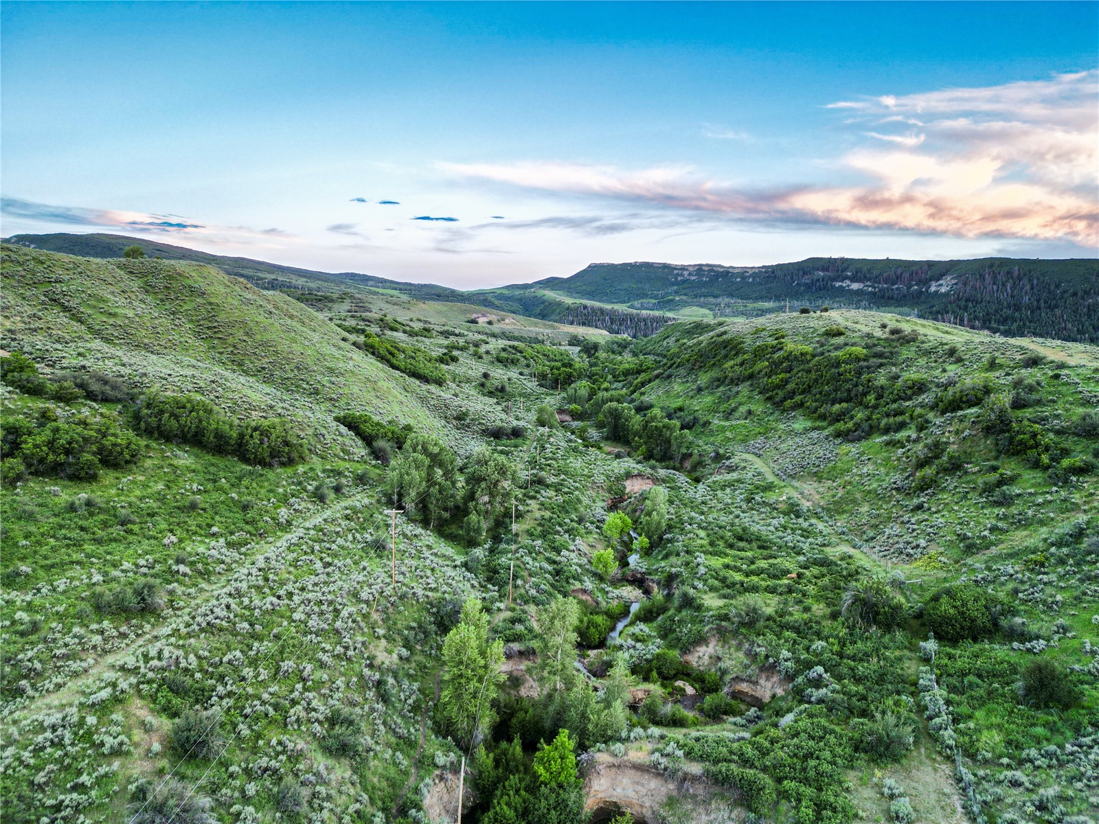 38500 Lobo Court Steamboat Springs CO 80487