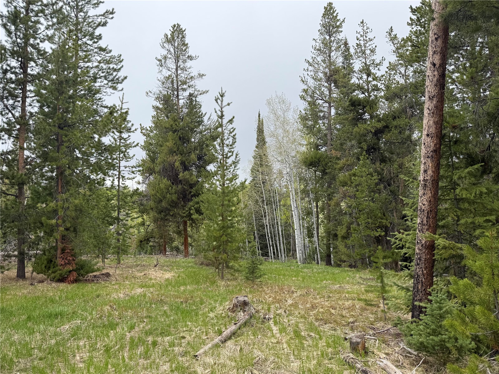 33435 Filly Trail Oak Creek CO 80467