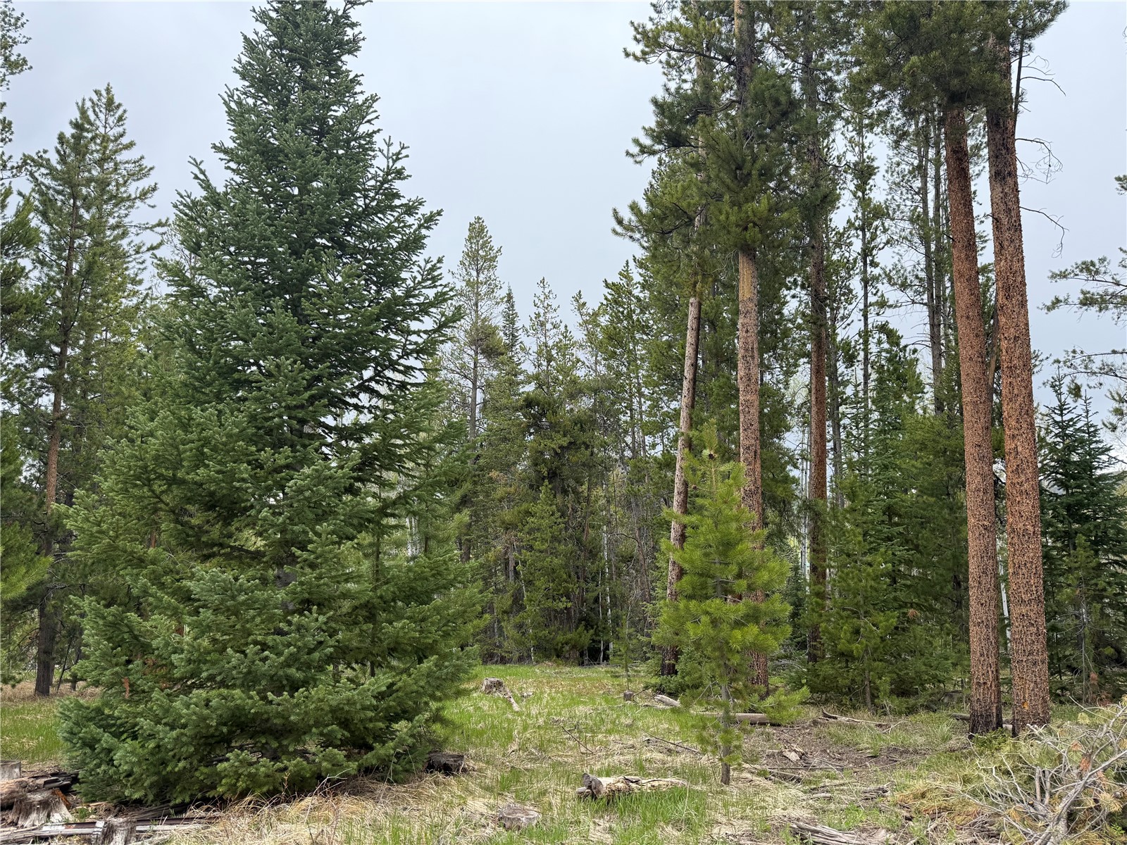 33435 Filly Trail Oak Creek CO 80467